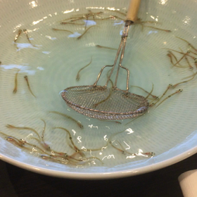 白魚の踊り食いの画像