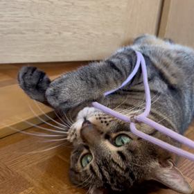 2023年8月31日(木)の画像