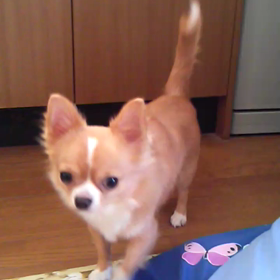 続き……の画像