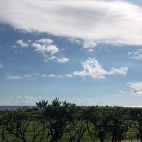 八丈島快晴。の画像