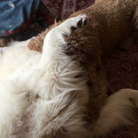 赤ちゃんみたい(^○^)の画像