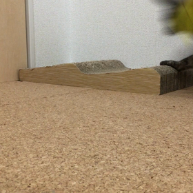 ちまと遊ぶの画像