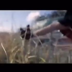 June 29, 2019の画像