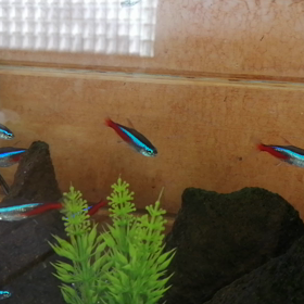 ちょっとイイ感じの画像