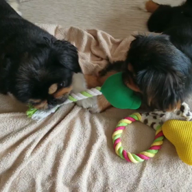 代奈の勝ちの画像