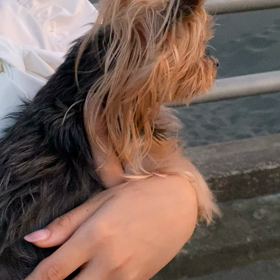 ご心配おかけしております。2部になります。の画像