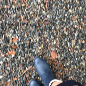 どしゃ降りの朝は長靴の画像