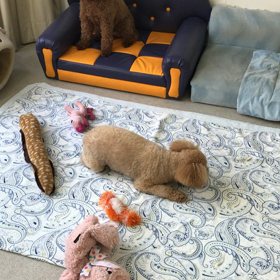 ♪プレイルーム動画♪②の画像