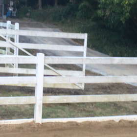 鹿パラダイス、、。の画像