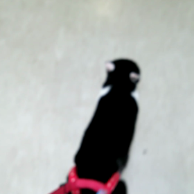 動けるっていいねの画像