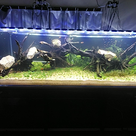 気が付いた！の画像