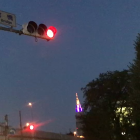 ♪お散歩動画♪代々木公園♪②の画像