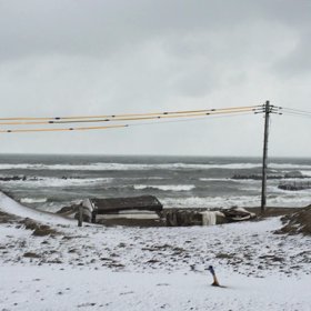 今朝の逃げポイントの画像