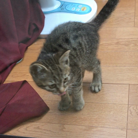 待ってたよ〜！フミフミの画像