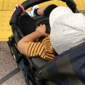 真似っこ記録の画像