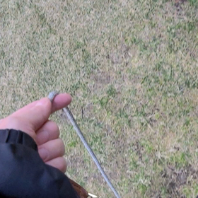 うちのこ9日目の画像