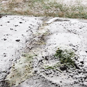 雪が‼️の画像