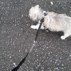 ゆっくりね。の画像