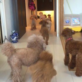 夏バテしてませんの画像