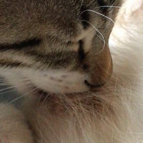 足りない⁉️の画像