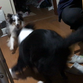 隠し撮り風の画像