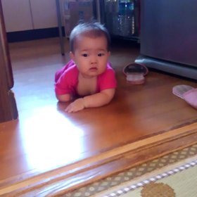 今日の凜ちゃんの画像