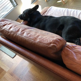 寝言を言うノアの画像