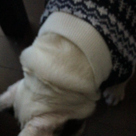 うどんがひっ付いて取れません。の画像