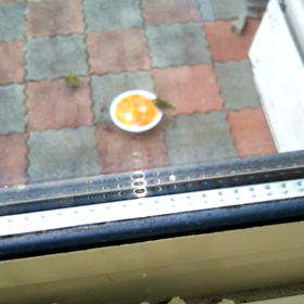 本当の思い出④の画像