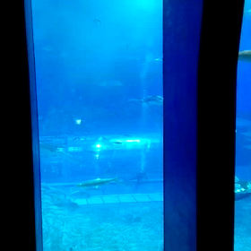 美海水族館の画像