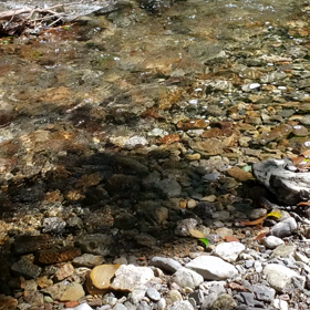 ★癒される～★の画像