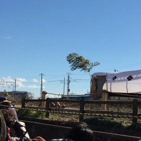 小田原梅まつり 流鏑馬 動画の画像