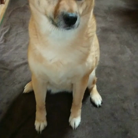 永ちゃんとヤーちゃんの特技の画像