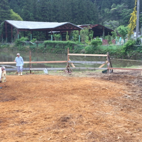 65㎝ジャンプなのよの画像