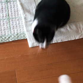 離すもん ですかっ！ｂｙニコ髭の画像