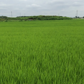 話楽  庵からの画像