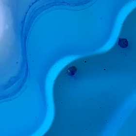 ヽ(*´∀｀)ノｲｪ-ｲの画像