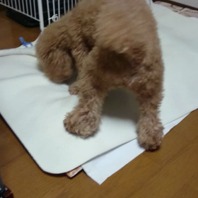 スイッチONの画像