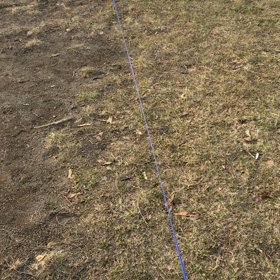 朝散歩（雪動画）。の画像