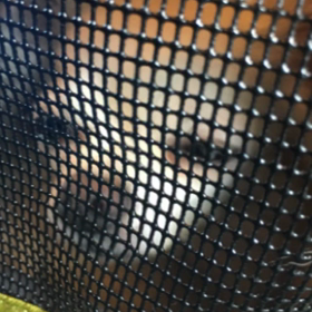 只今移動中の画像