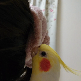 おーたん、ご機嫌さんの画像