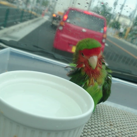 7月のある日の画像