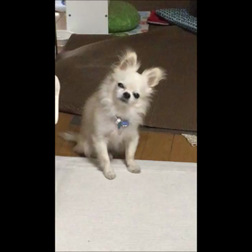 脳腫瘍といわれて：余命宣告から1年10ヶ月 ⑤　症状の進行の画像