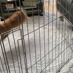 これからの治療と目標の画像