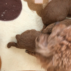 おはようございます！の画像