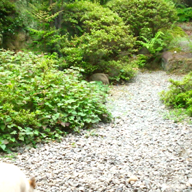 ひとり遊びが激しいの画像