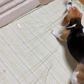 姉を立てる弟の画像