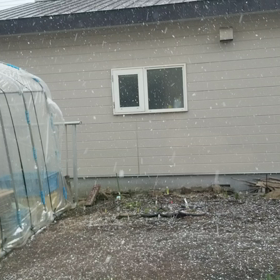 雪…降りましたの画像