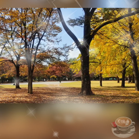 Autumn 〜秋〜の画像