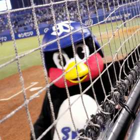 昨日の手羽タッチの画像